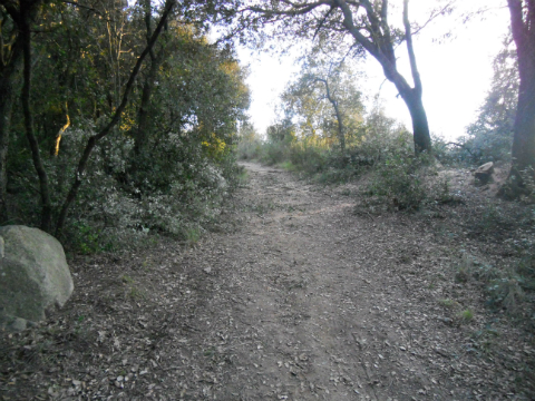 DSCN5954.JPG