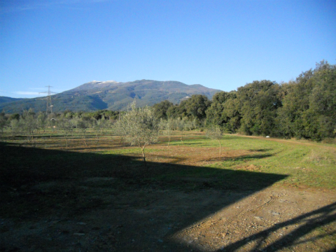 DSCN5944.JPG