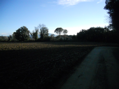DSCN5946.JPG